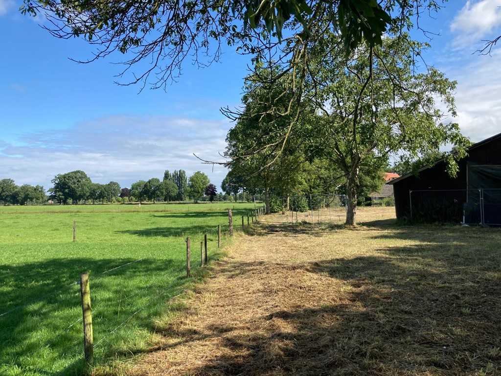 geersweg nieuwe foto juli 25 (10).jpeg